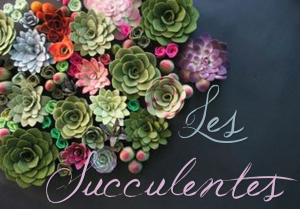Thème Mariage Les Succulentes Titre Faire Part Selection